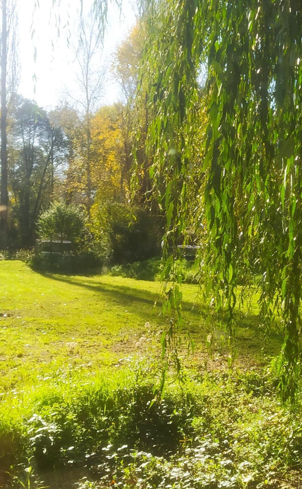 Domaine De La Barde Apartments In The Old Walnut Mill And Forge Le Bugue Eksteriør bilde